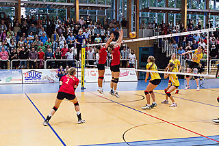 Stralsunder Wildcats Stralsunder Wildcats