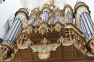Friedrich-Stellwagen-Orgeltage