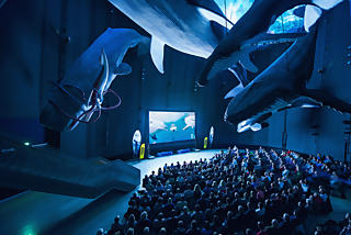 Ocean Film Tour 2020