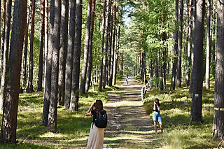 Ausstellung "In Between? Image and memory"