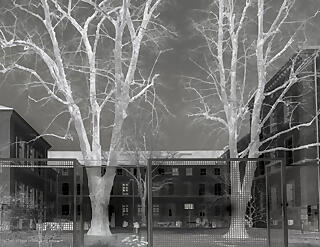 Ausstellung "Diagnosing Hope"