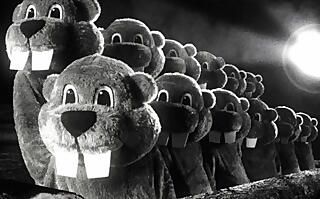 Film „Hundreds of Beavers“