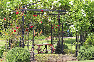 Tag der offenen Gärten