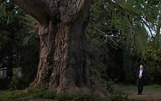 Film „Silent Friend“