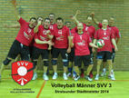 3. Herrenmannschaft des Stralsunder Volleyballvereins - Stadtmeister 2014