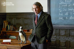 Film "Der Pinguin meines Lebens"