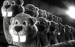 Film „Hundreds of Beavers“