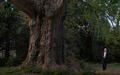 Film „Silent Friend“