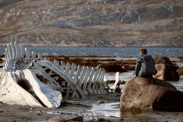 Film im Blendwerk Leviathan